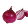 Best selling products new zealand onions